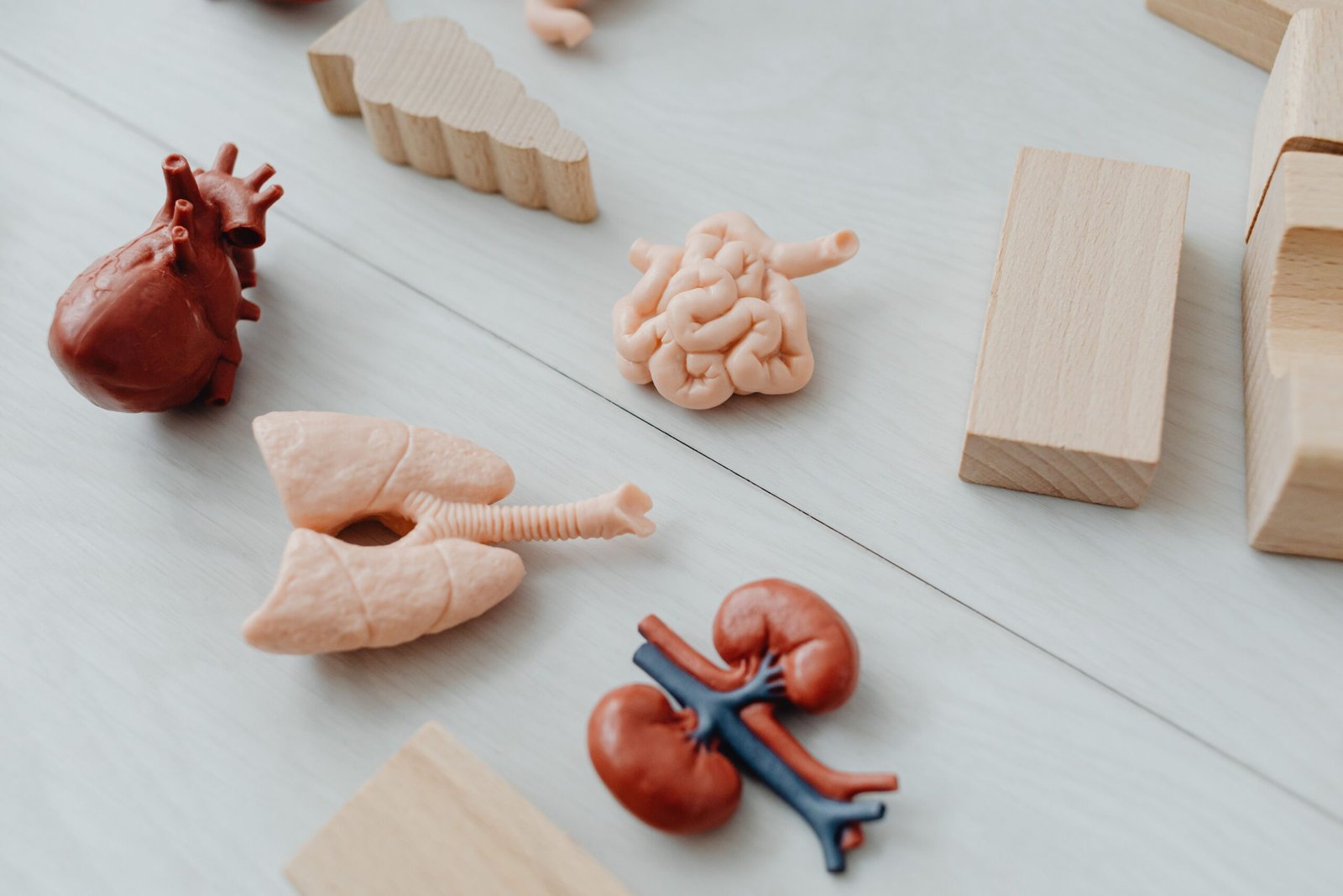 kidney program