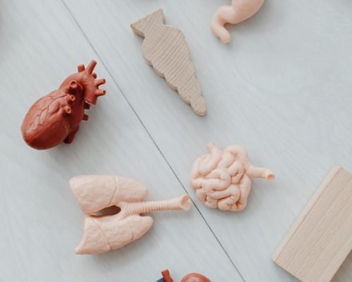 Liver Treatment in Ropar